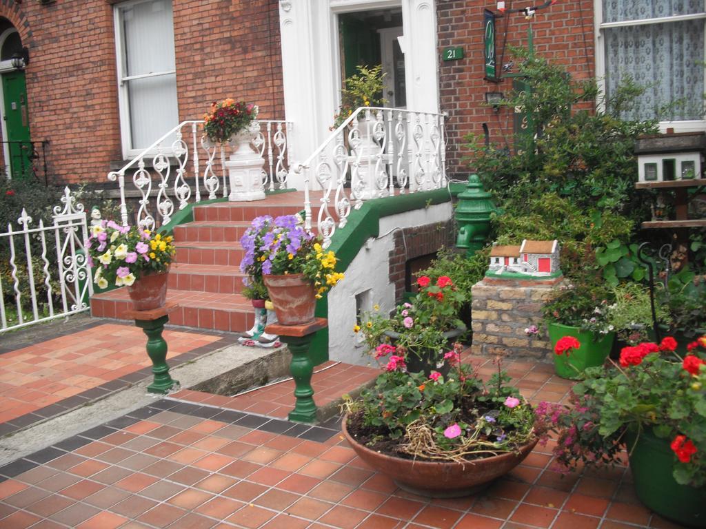 Mcelroy Budget Hostel Dublin